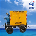 可移动式柴油机泵-便携式柴油机泵
